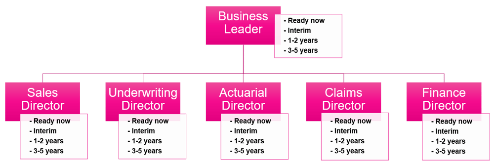 succession planning org chart-rgax